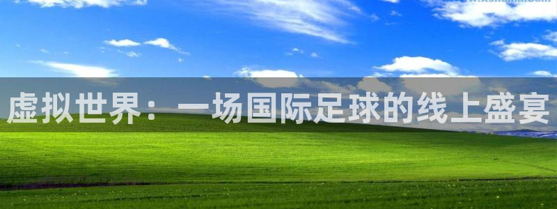 河豚体育赛事直播：虚拟世界：一场国际足球的线上盛宴