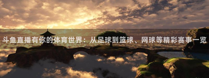 nba直播河豚：斗鱼直播有你的体育世界：从足球到篮球、网球等精彩赛事一览