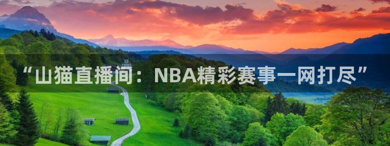 河豚搞笑：“山猫直播间：NBA精彩赛事一网打尽”