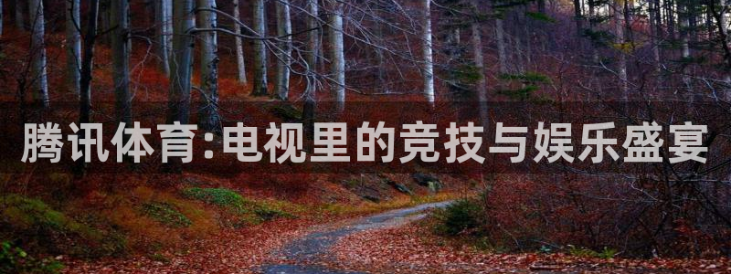 河豚nba篮球直播在线观看：腾讯体育:电视里的竞技与娱乐盛宴