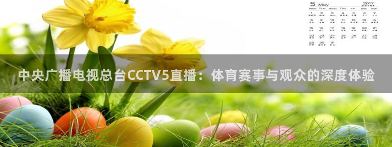 河豚体育足球直播：中央广播电视总台CCTV5直播：体育赛事与观众的深度体验