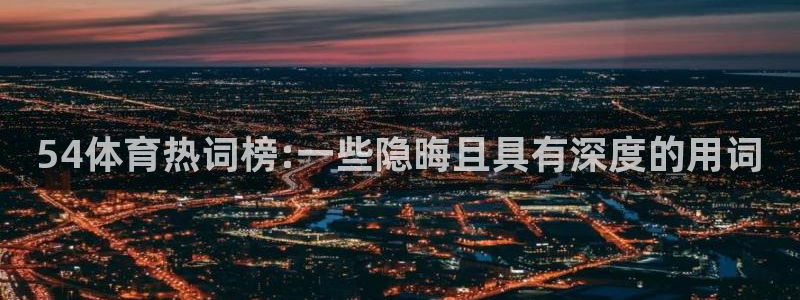 河豚篮球直播：54体育热词榜:一些隐晦且具有深度的用词
