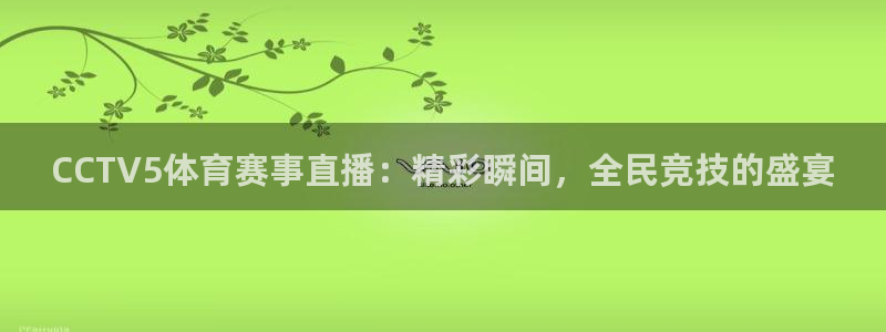 河豚nba体育直播：CCTV5体育赛事直播：精彩瞬间，全民竞技的盛宴