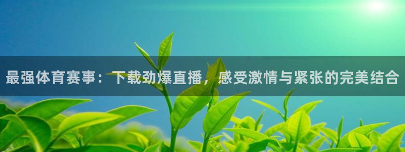 河豚tv直播：最强体育赛事：下载劲爆直播，感受激情与紧张的完美结合