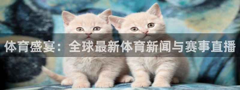 河豚在线nba直播：体育盛宴：全球最新体育新闻与赛事直播