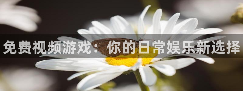 河豚直播nba免费观看：免费视频游戏：你的日常娱乐新选择