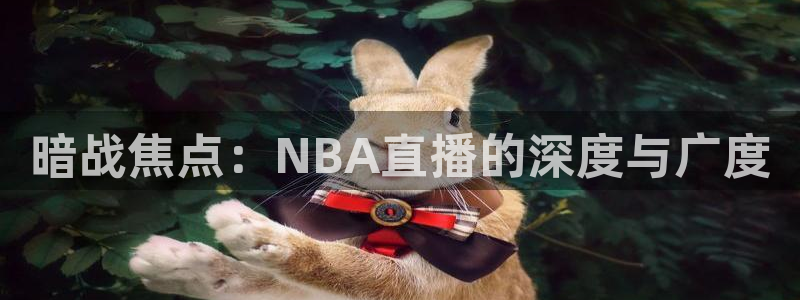 nba直播河豚：暗战焦点：NBA直播的深度与广度
