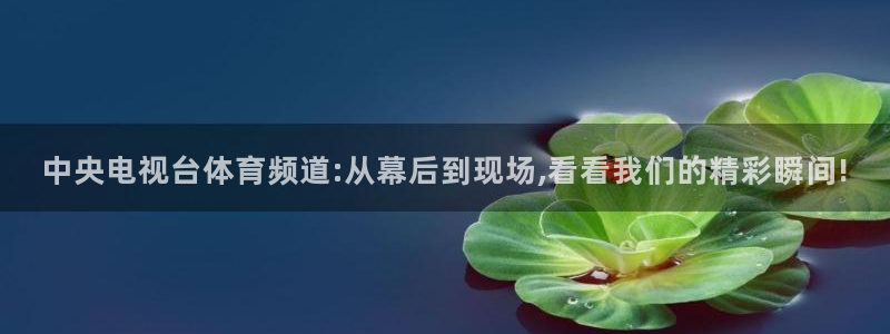 nba直播 河豚：中央电视台体育频道:从幕后到现场,看看我们的精彩瞬间!