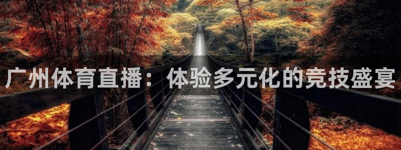河豚体育app下载：广州体育直播：体验多元化的竞技盛宴